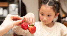 strawberry parenting