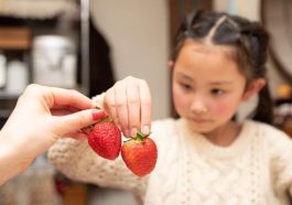 strawberry parenting
