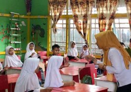 new education programs