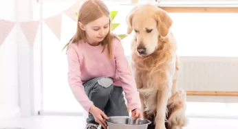 Want a Responsible Child? Teach These 3 Key Lessons