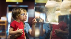 taking children to museums