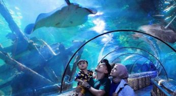 Top 15 Educational Destinations in Jakarta
