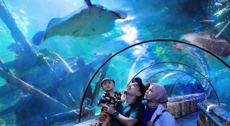 educational destinations